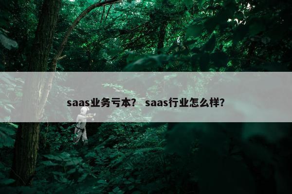 saas业务亏本？ saas行业怎么样？