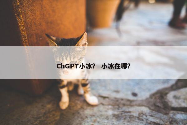 ChGPT小冰？ 小冰在哪？