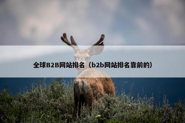 全球B2B网站排名（b2b网站排名靠前的）