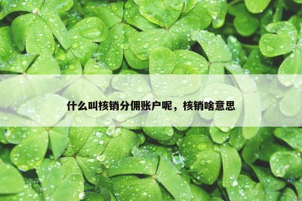 什么叫核销分佣账户呢，核销啥意思