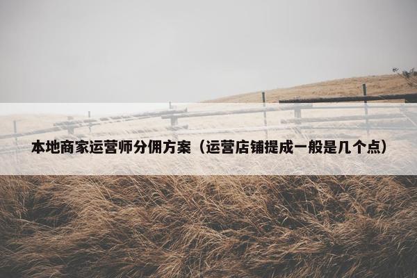 本地商家运营师分佣方案（运营店铺提成一般是几个点）