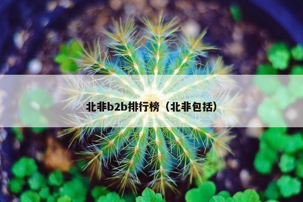 北非b2b排行榜（北非包括）