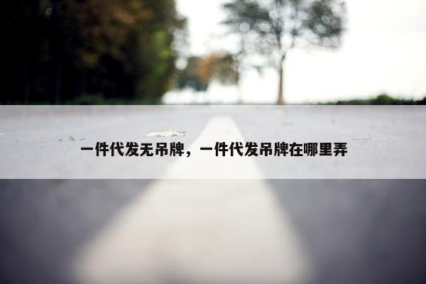 一件代发无吊牌，一件代发吊牌在哪里弄