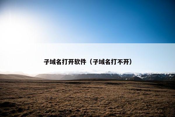 子域名打开软件（子域名打不开）