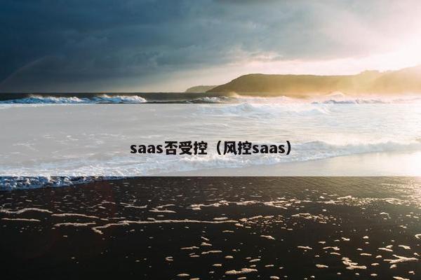 saas否受控（风控saas）