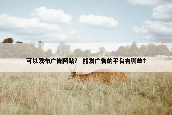 可以发布广告网站？ 能发广告的平台有哪些？