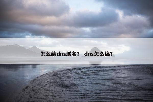怎么给dns域名？ dns怎么搞？