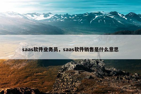 saas软件业务员，saas软件销售是什么意思