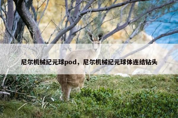 尼尔机械纪元球pod，尼尔机械纪元球体连结钻头