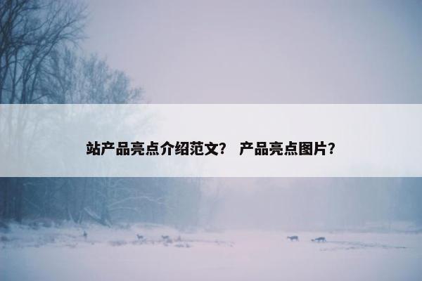 站产品亮点介绍范文？ 产品亮点图片？