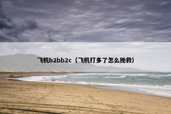 飞机b2bb2c（飞机打多了怎么挽救）