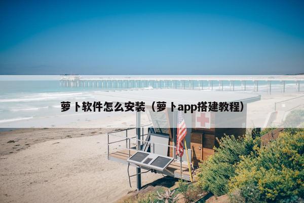 萝卜软件怎么安装（萝卜app搭建教程）