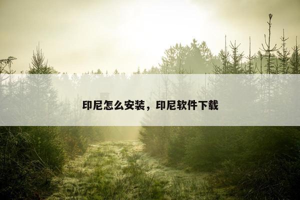 印尼怎么安装，印尼软件下载