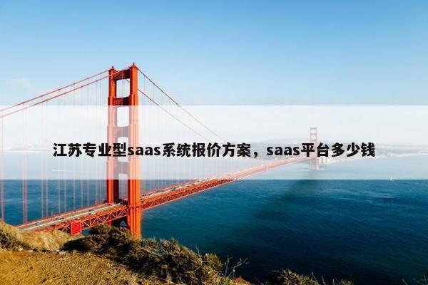 江苏专业型saas系统报价方案，saas平台多少钱