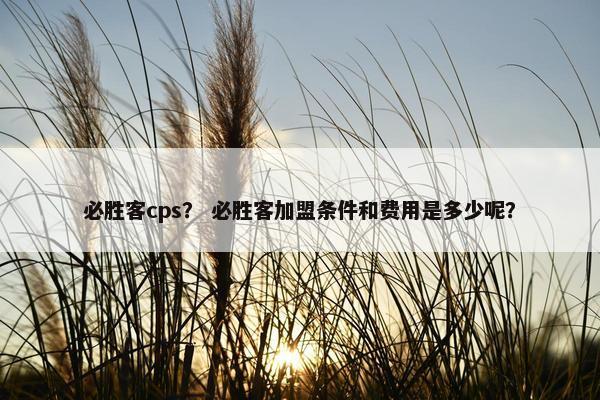 必胜客cps？ 必胜客加盟条件和费用是多少呢？