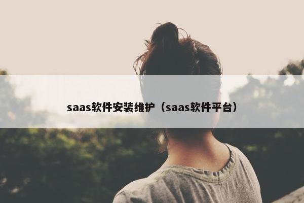 saas软件安装维护（saas软件平台）