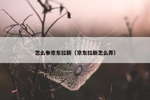 怎么参京东拉新（京东拉新怎么弄）