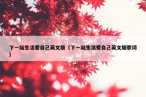 下一站生活爱自己英文版（下一站生活爱自己英文版歌词）