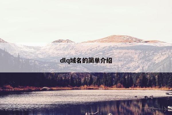 dlq域名的简单介绍