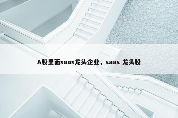 A股里面saas龙头企业，saas 龙头股