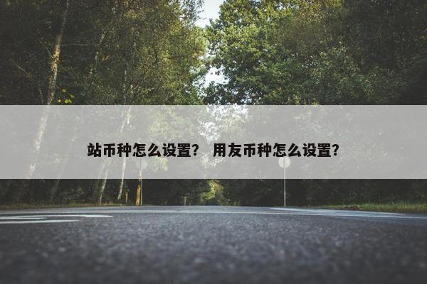站币种怎么设置？ 用友币种怎么设置？