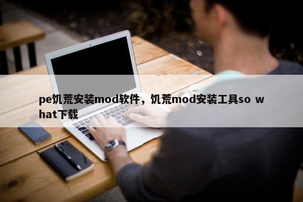 pe饥荒安装mod软件，饥荒mod安装工具so what下载
