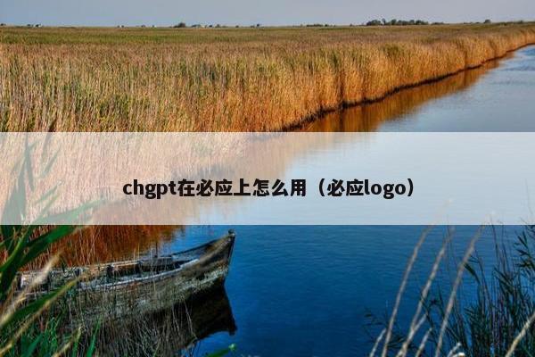 chgpt在必应上怎么用（必应logo）