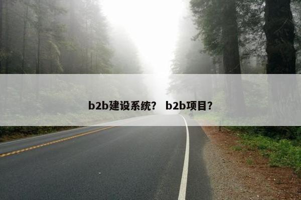 b2b建设系统？ b2b项目？