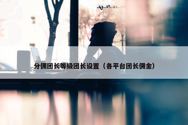 分佣团长等级团长设置（各平台团长佣金）