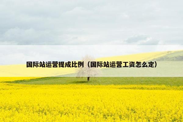 国际站运营提成比例（国际站运营工资怎么定）