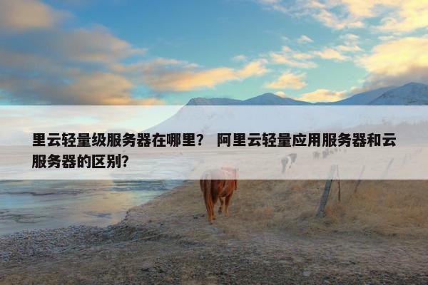 里云轻量级服务器在哪里？ 阿里云轻量应用服务器和云服务器的区别？