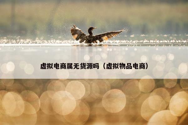 虚拟电商属无货源吗（虚拟物品电商）