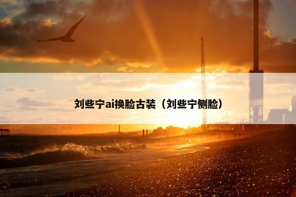 刘些宁ai换脸古装（刘些宁侧脸）