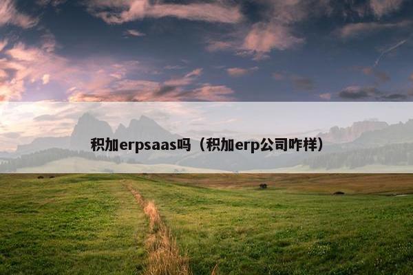 积加erpsaas吗（积加erp公司咋样）