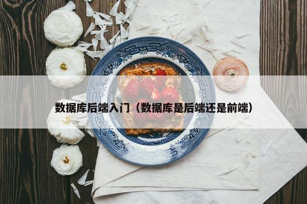 数据库后端入门（数据库是后端还是前端）