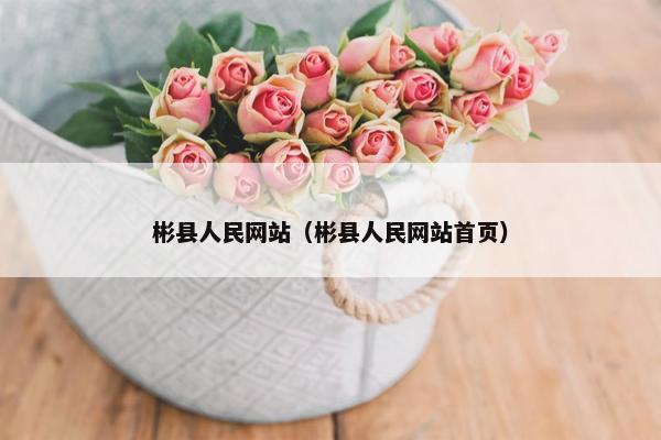 彬县人民网站（彬县人民网站首页）