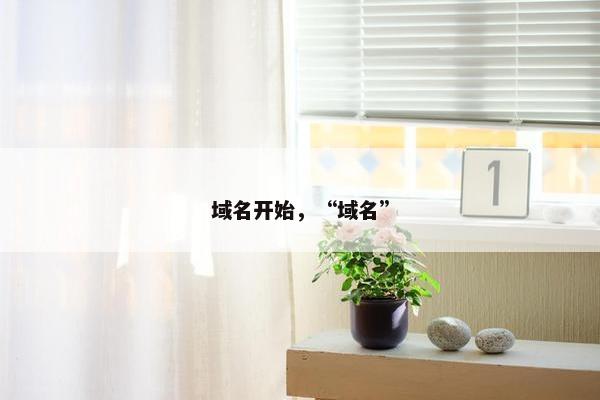 域名开始，“域名”