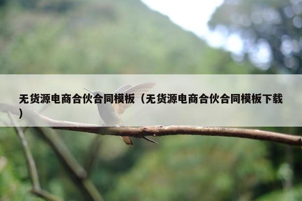 无货源电商合伙合同模板（无货源电商合伙合同模板下载）