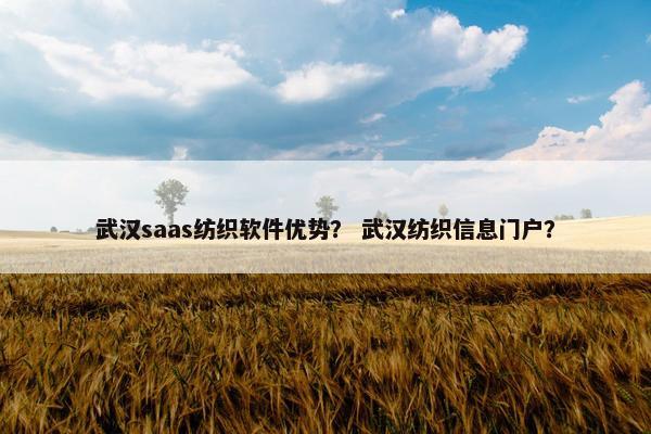 武汉saas纺织软件优势? 武汉纺织信息门户?