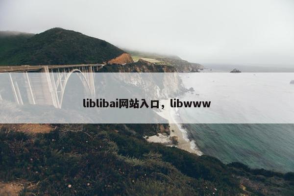 liblibai网站入口，libwww