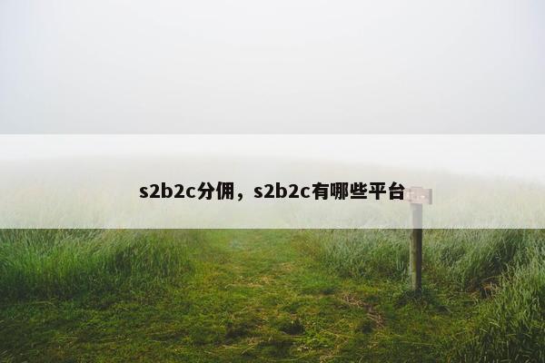 s2b2c分佣，s2b2c有哪些平台