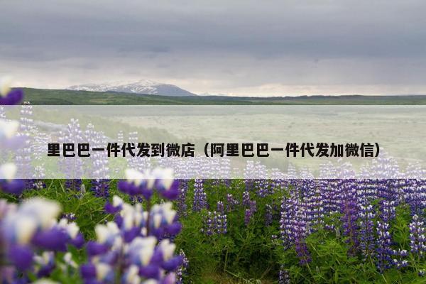 里巴巴一件代发到微店(阿里巴巴一件代发加微信)