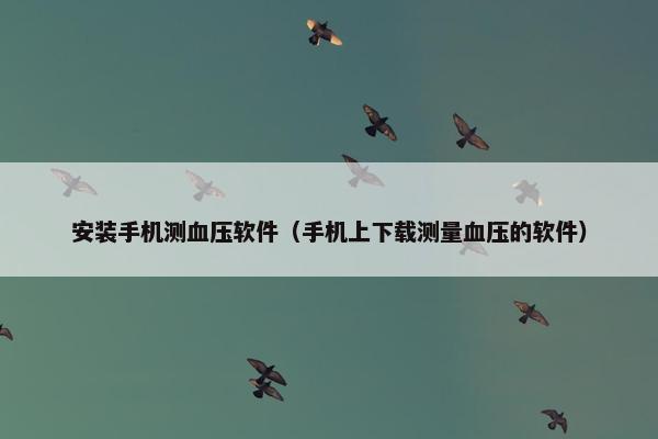 安装手机测血压软件（手机上下载测量血压的软件）