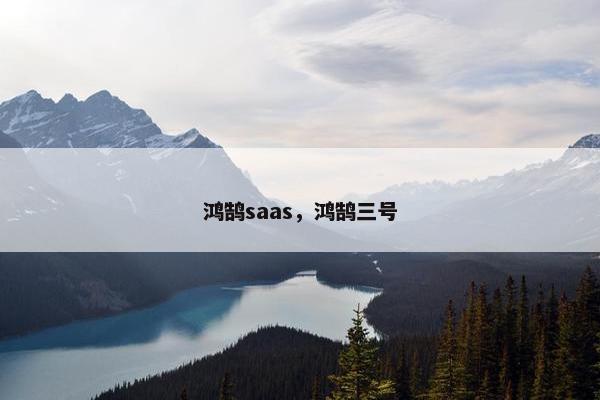 鸿鹄saas，鸿鹄三号