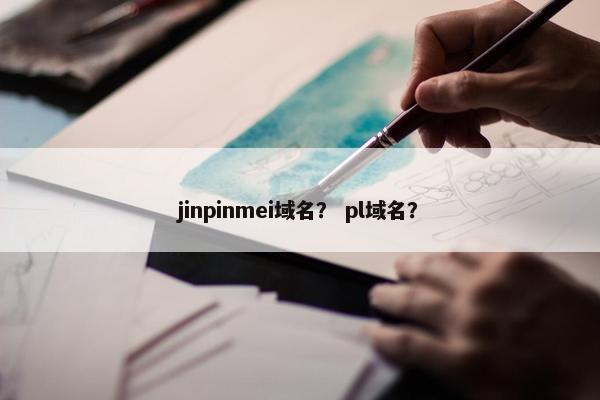 jinpinmei域名？ pl域名？