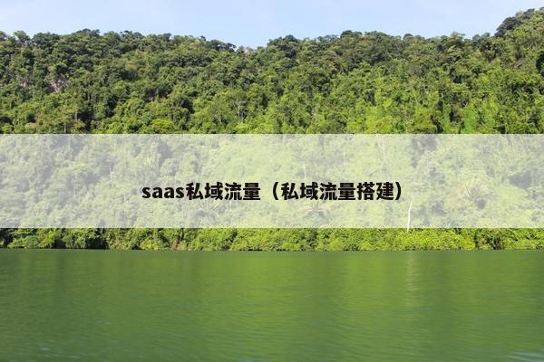saas私域流量（私域流量搭建）