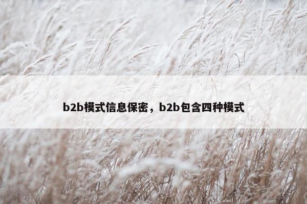 b2b模式信息保密，b2b包含四种模式