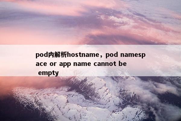 pod内解析hostname，pod namespace or app name cannot be empty