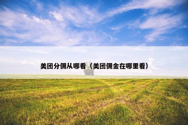 美团分佣从哪看（美团佣金在哪里看）