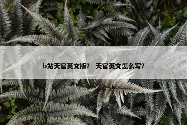 b站天官英文版？ 天官英文怎么写？